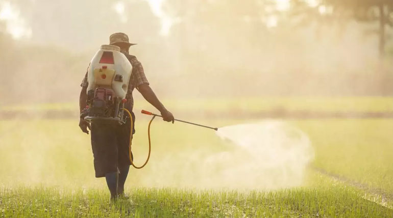 agrochemicals