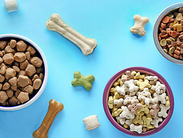 pet-supplement-sm