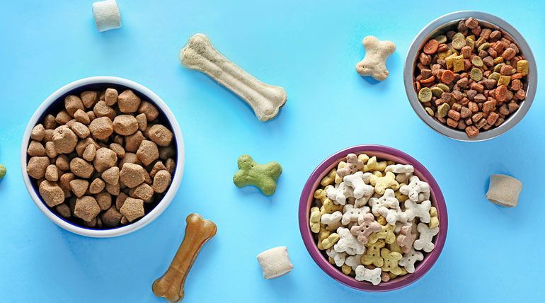 pet-supplement